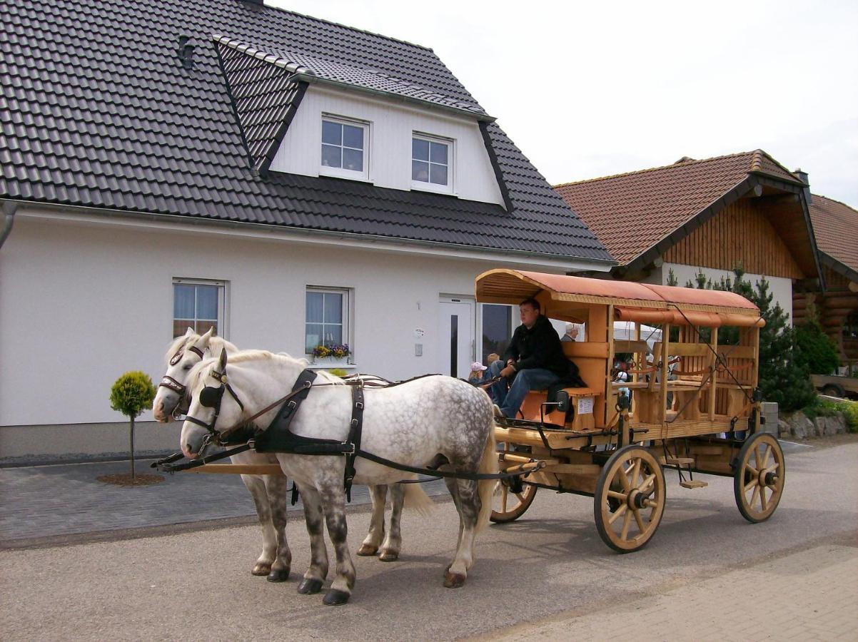 Gastehaus „Haus Am Hahnenberg“ Bed & Breakfast Marmagen ภายนอก รูปภาพ